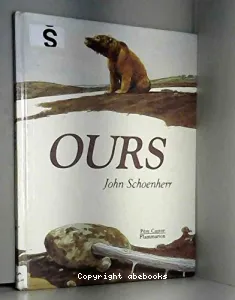 Ours