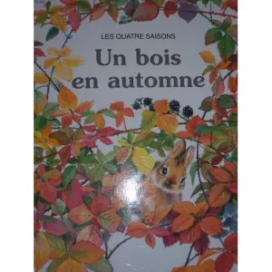 Un bois en automne